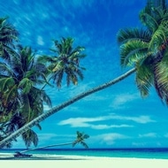 Skatteparadis
