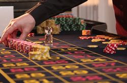 spela roulette